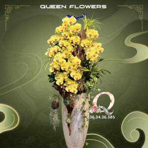 Lan hồ điệp vàng