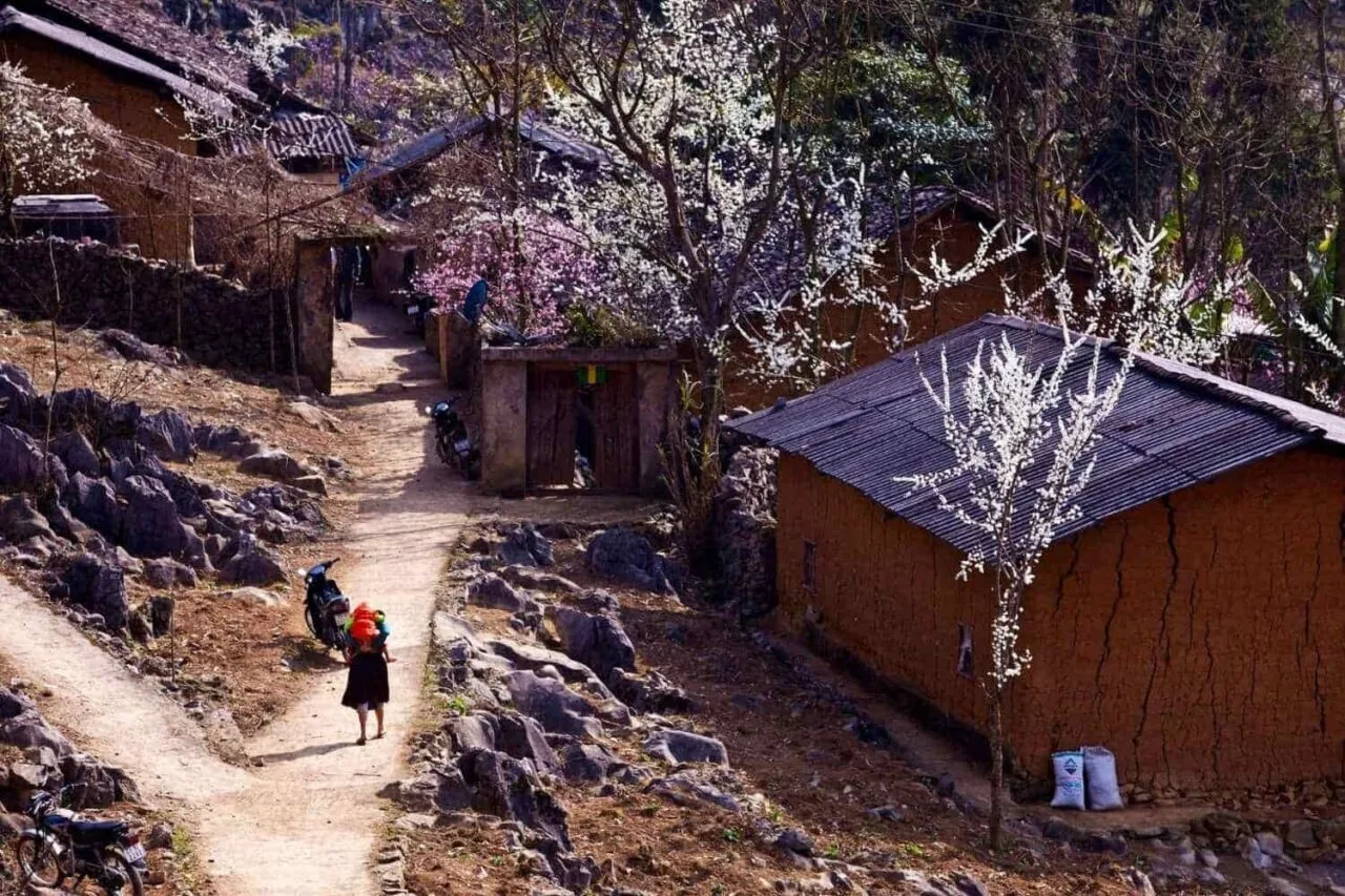 Sao Ha Village sits in a peaceful valley, surrounded by rocky mountains