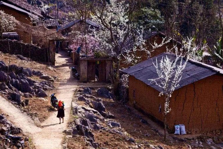 Sao Ha Village sits in a peaceful valley, surrounded by rocky mountains